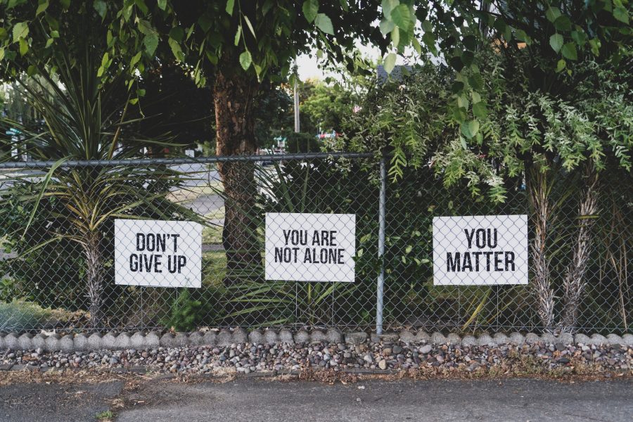 dan-meyers-hluOJZjLVXc-unsplash dan-meyers-hluOJZjLVXc-unsplash